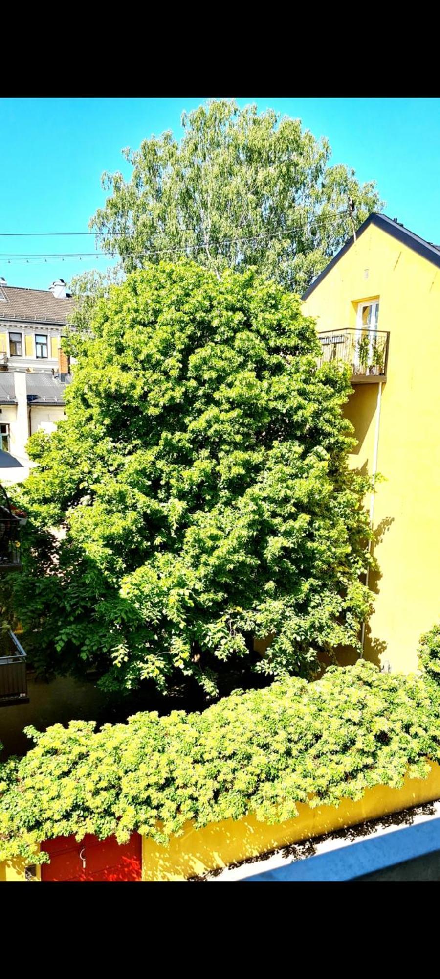 Modern Central Apartment Next To Beautiful Nature2424 Осло Екстер'єр фото